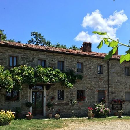 فيلا Casina Della Burraia Subbiano المظهر الخارجي الصورة