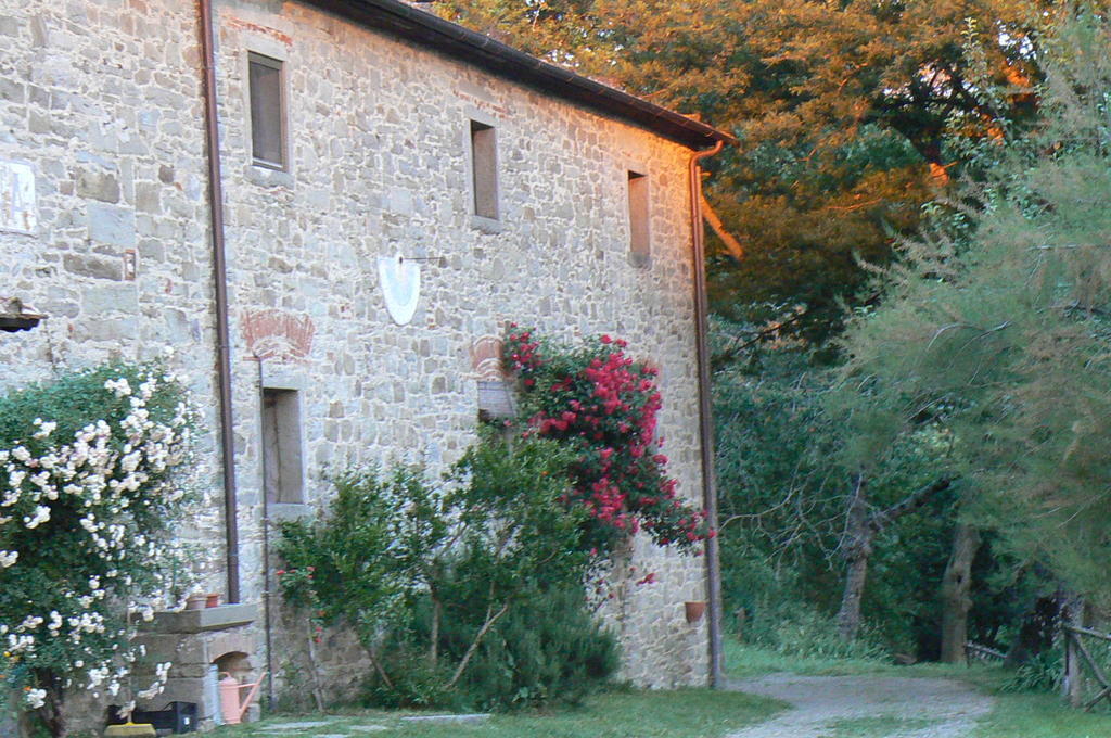 فيلا Casina Della Burraia Subbiano المظهر الخارجي الصورة