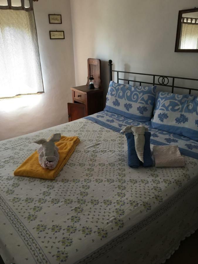 فيلا Casina Della Burraia Subbiano المظهر الخارجي الصورة