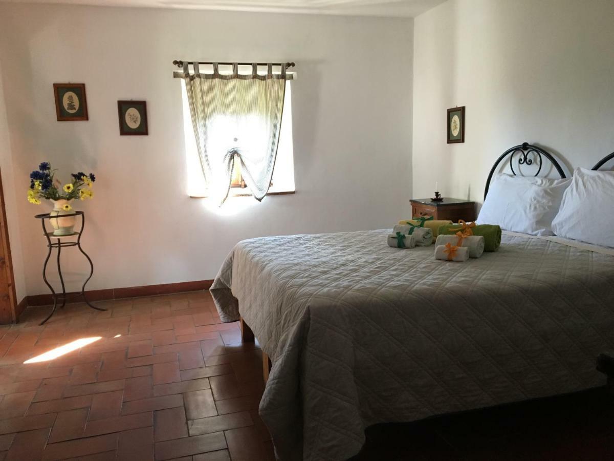 فيلا Casina Della Burraia Subbiano المظهر الخارجي الصورة