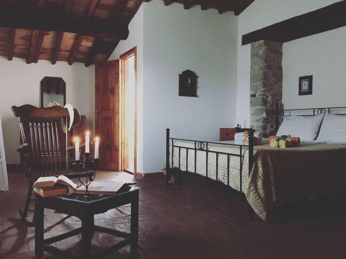 فيلا Casina Della Burraia Subbiano المظهر الخارجي الصورة