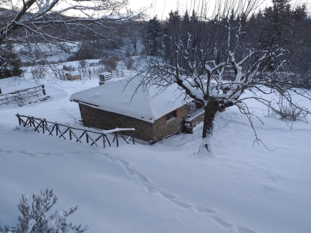 فيلا Casina Della Burraia Subbiano المظهر الخارجي الصورة